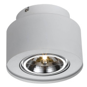 Потолочный светильник Arte Lamp Cliff A5643PL-1WH