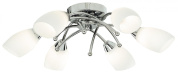 Потолочная люстра Arte Lamp Opal A8186PL-6CC