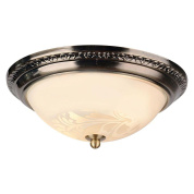 Потолочный светильник Arte Lamp 28 A3009PL-2AB