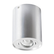 Потолочный светильник Arte Lamp A5644PL-1SI