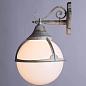 Уличный настенный светильник Arte Lamp Monaco A1492AL-1WG