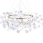 Подвесная светодиодная люстра Loft IT Heracleum 9022-108