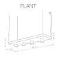 Подвесной светильник Nowodvorski Plant 9381