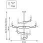 Подвесная люстра Lightstar Ragno 733283