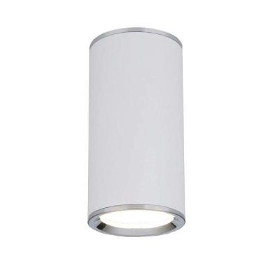 Потолочный светильник Elektrostandard DLN101 GU10 WH белый 4690389135859