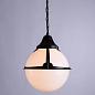 Уличный подвесной светильник Arte Lamp Monaco A1495SO-1BK