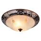 Потолочный светильник Arte Lamp 28 A3014PL-2AC
