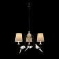 Подвесная люстра Loft IT Birds Loft1029A-3
