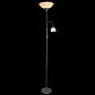 Торшер Arte Lamp Duetto A9569PN-2SI