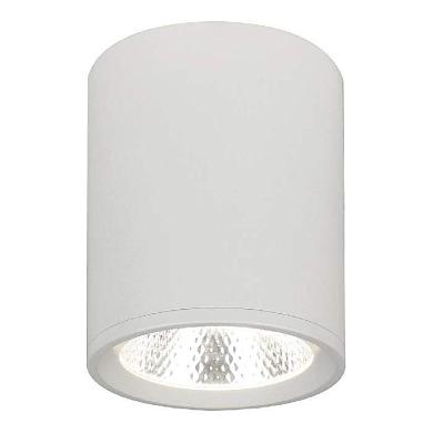 Потолочный светодиодный светильник Escada 20003SMU/02LED SWH