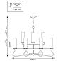 Подвесная люстра Lightstar Flume 723125