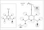 Подвесная люстра Favourite Bolos 1742-8P