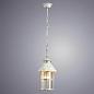 Уличный подвесной светильник Arte Lamp Prague A1465SO-1WG