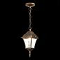 Уличный подвесной светильник ST Luce Domenico SL082.203.01